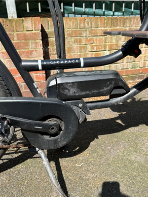Bicicapace Pelican 2024