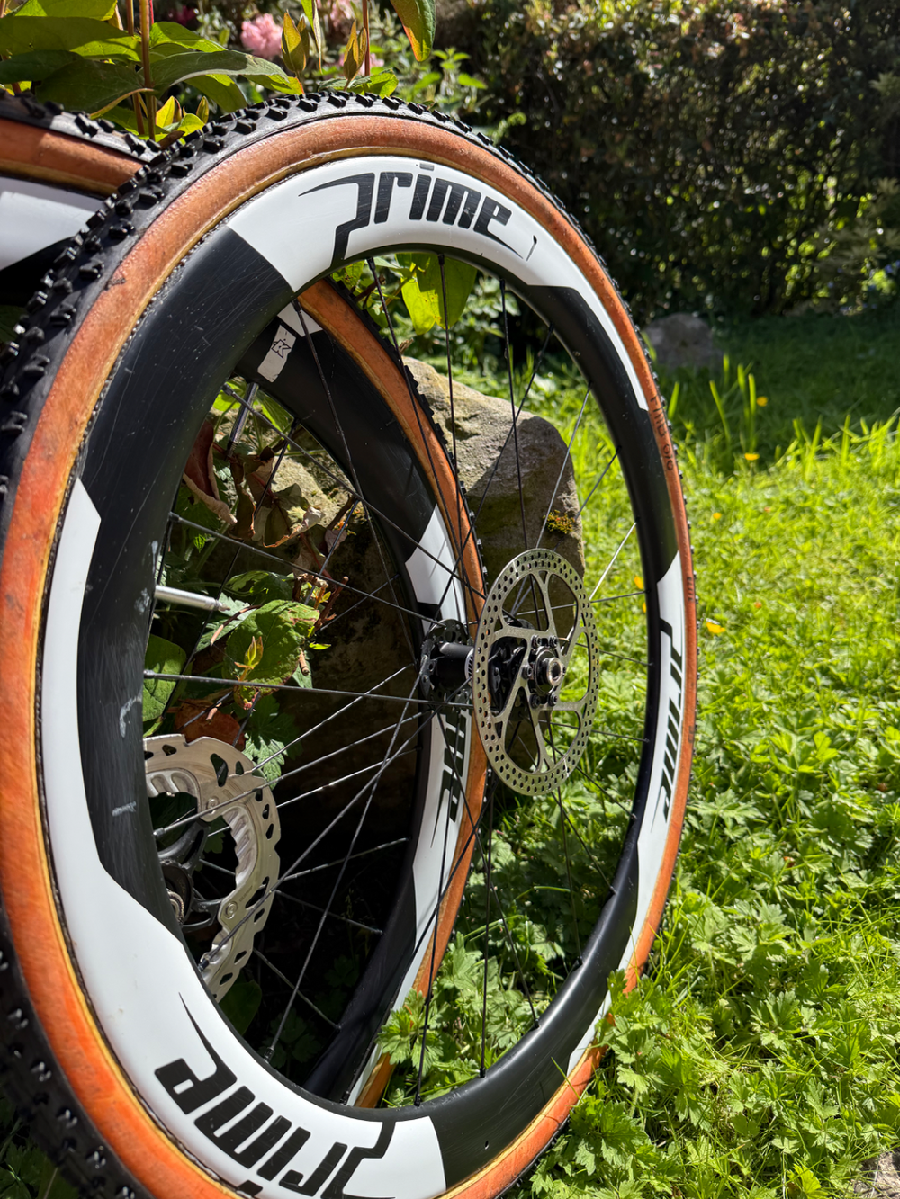 Storck Tix 2020