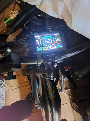 Freesky Freesky 2026