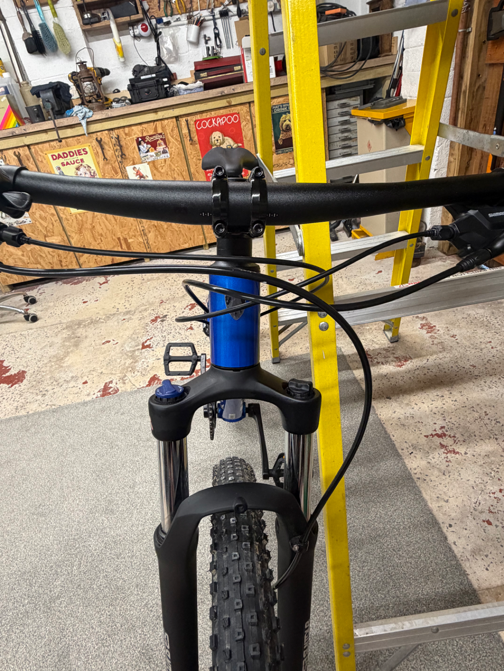 Trek Marlin 6 29 2026