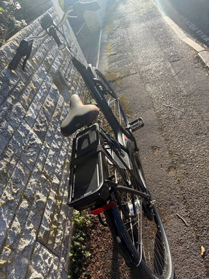 Gazelle Grenoble C7 + By GAZELE 250w E 2019