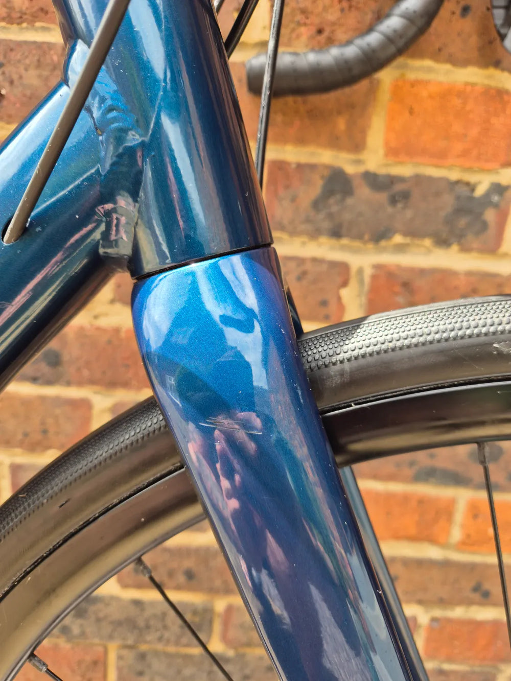 Trek Domane AL 2 Disc 2022