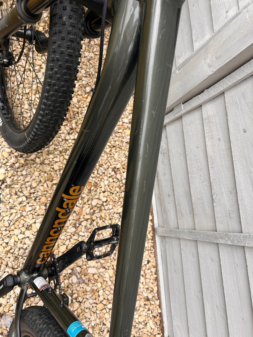Cannondale Cujo 2 2021