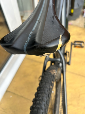 Giant Talon E+ 29er 2024