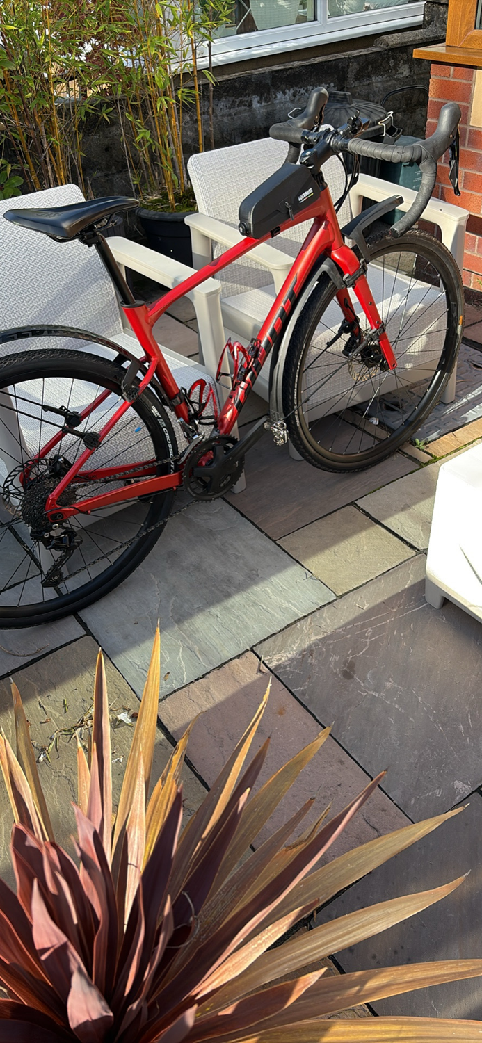 Giant Contend 1 2023