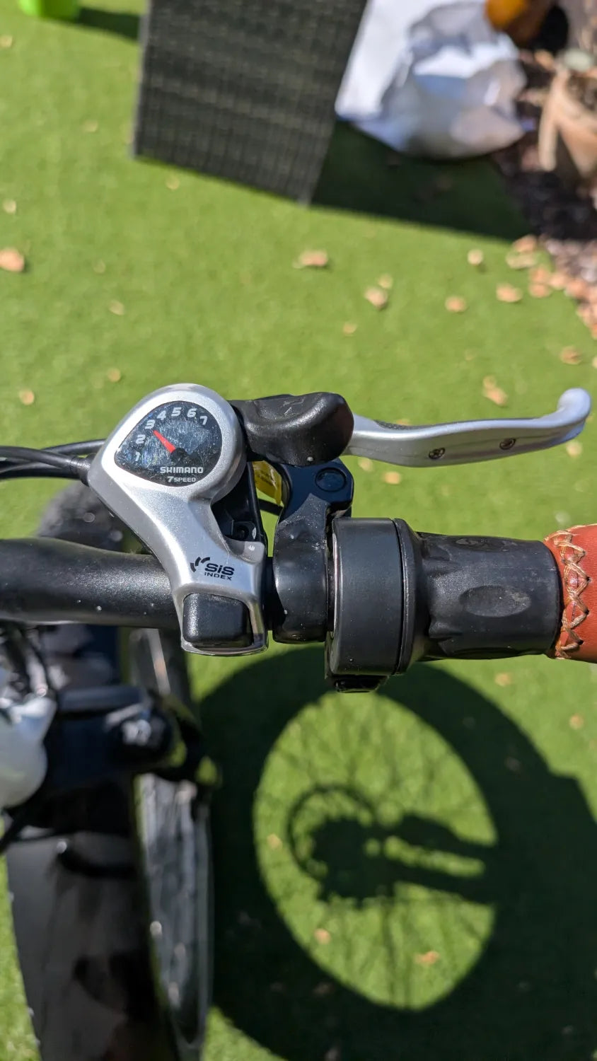 Rad Power Bikes Rhino 2020