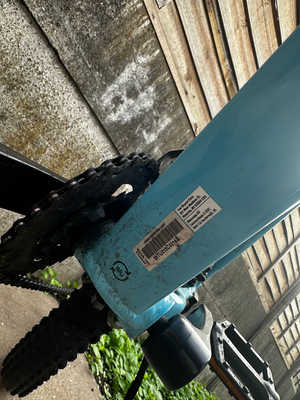 Trek Marlin 5 2025