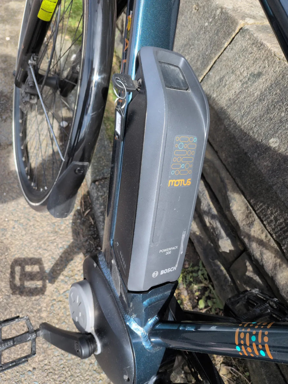 Raleigh Motus 2020