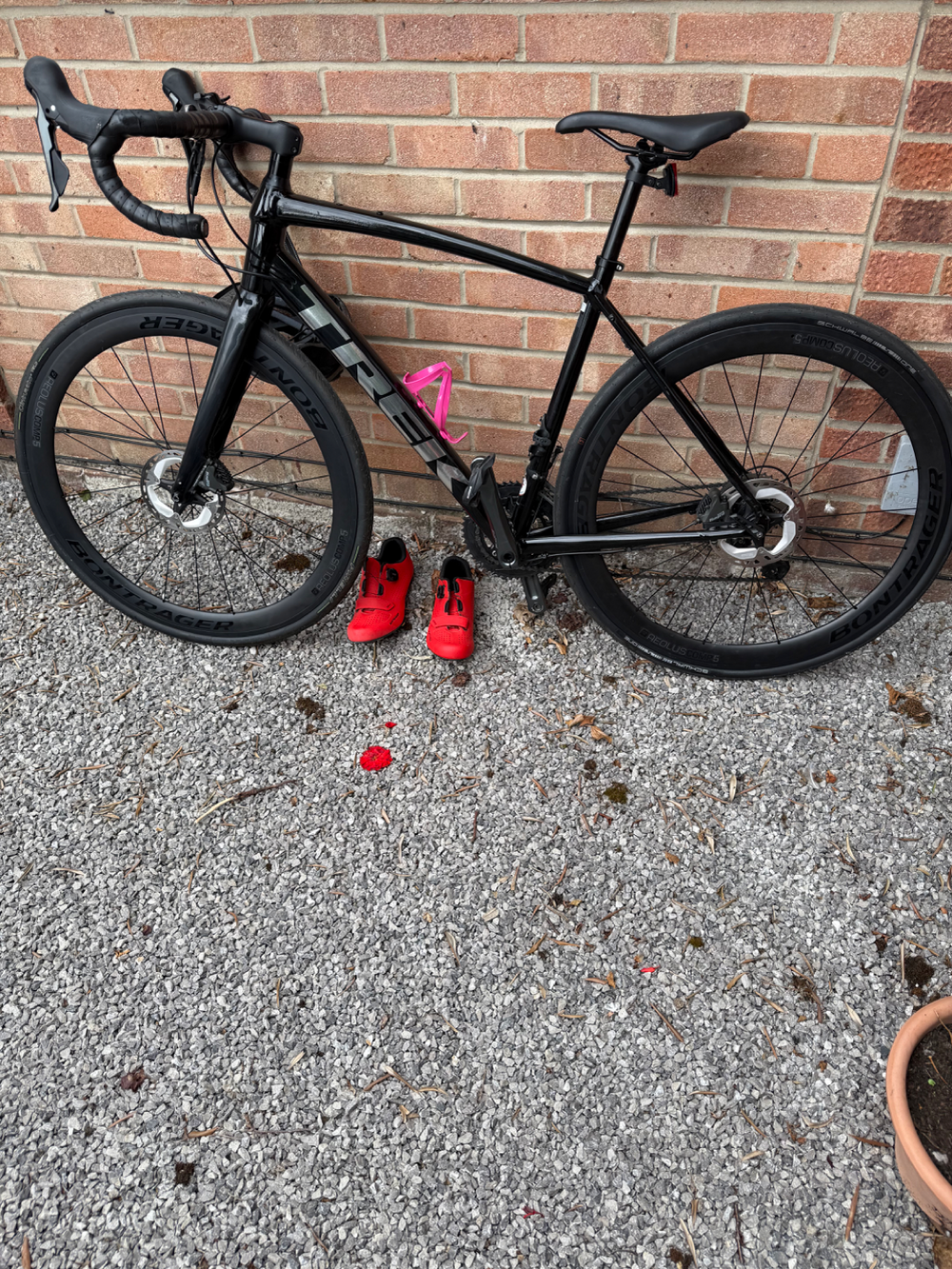 Trek Domane AL 4 Disc 2021