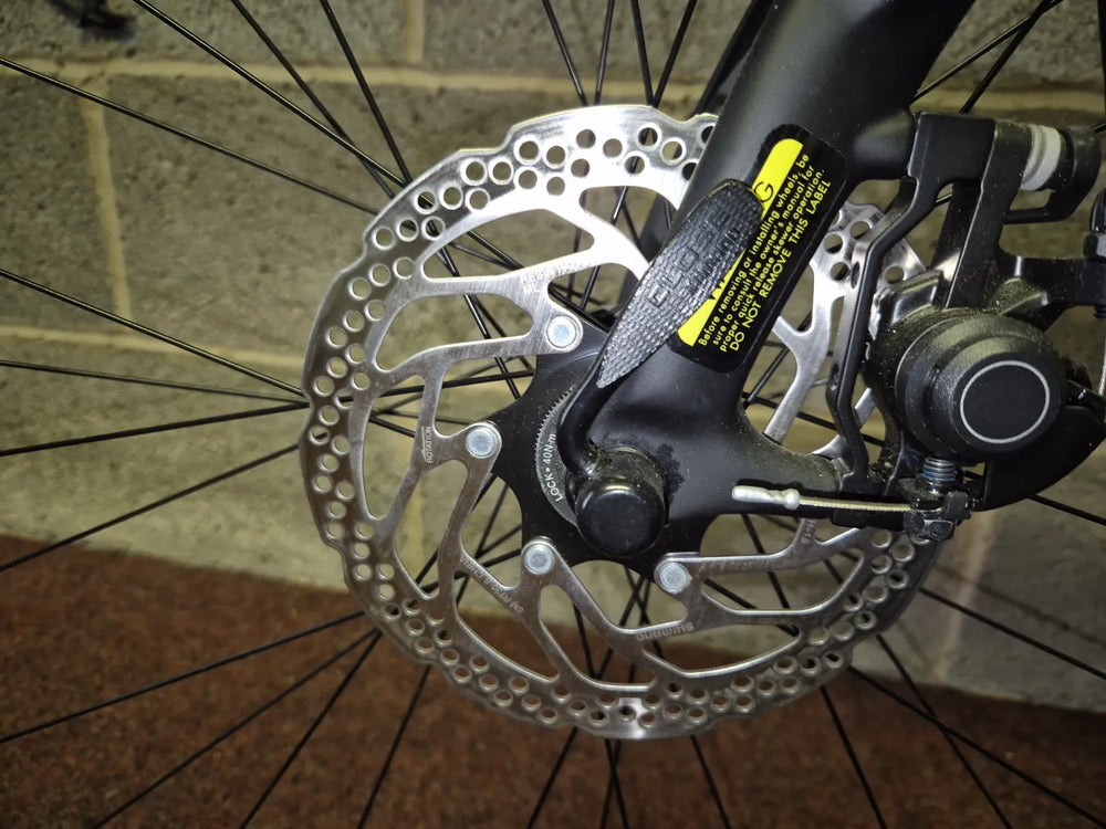 Pinarello Treviso Carbon Disk 2020