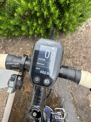 Raleigh Mustang E Comp 2019