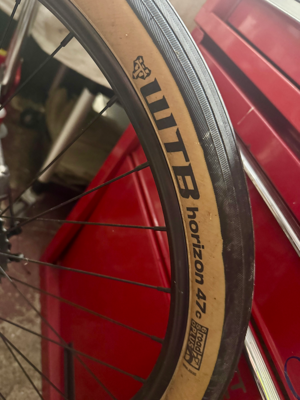 Whyte Portobello 2023