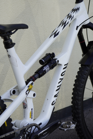 Canyon Spectral CF 8 CLLCTV 2025