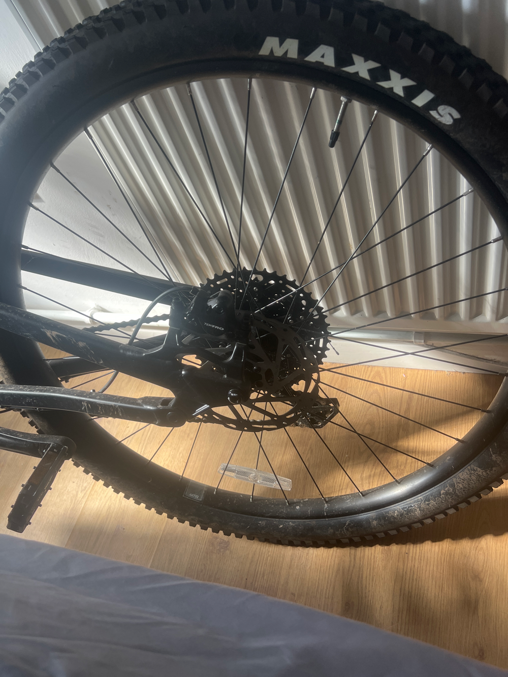Boardman MTR 8.6 2025