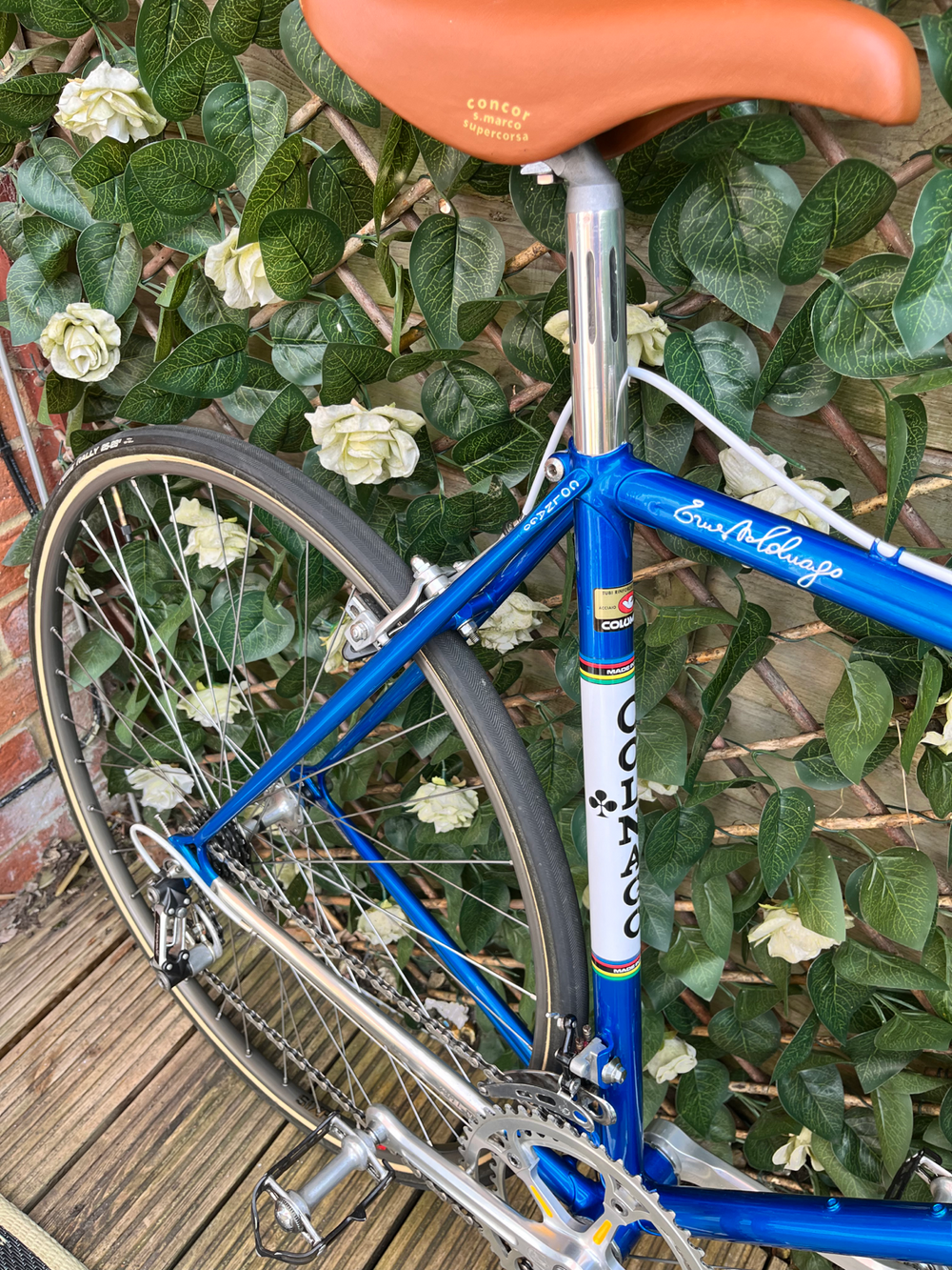 Colnago Super profil 1981