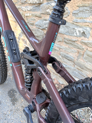 Marin Alpine Trail 1 2025
