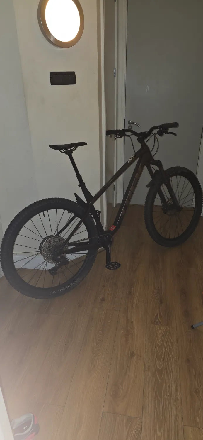 Trek Roscoe 7 2025