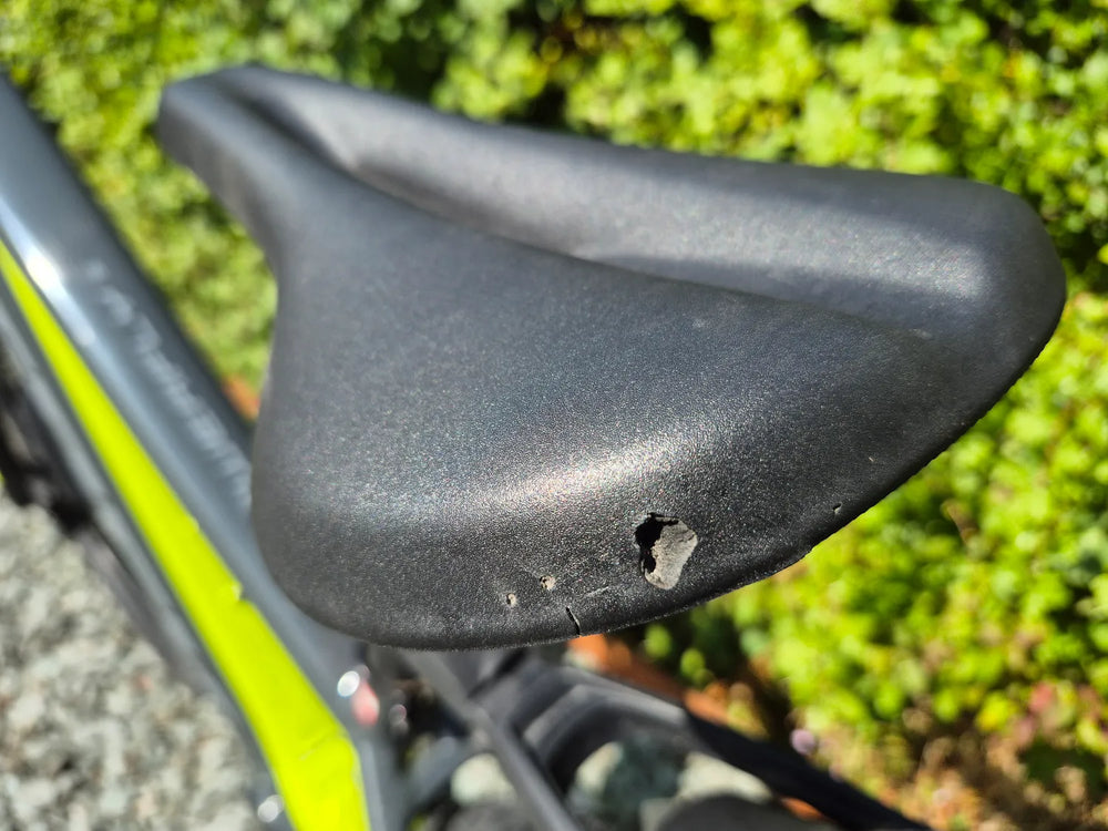 Trek Powerfly 5 2021