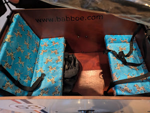 Babboe Big-E Electric Cargo Trike 2019