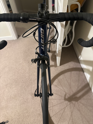 Giant Contend 1 2021