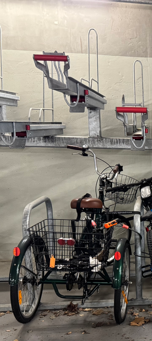 Jorvik Tricycle
