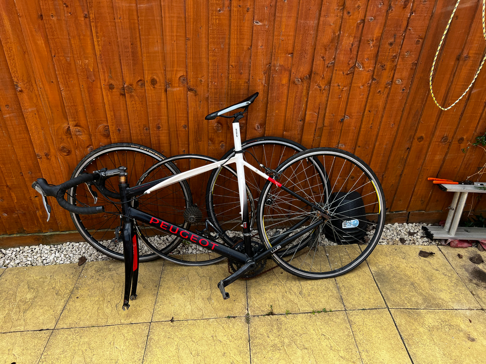 Peugeot R02 Carbon 105 2010