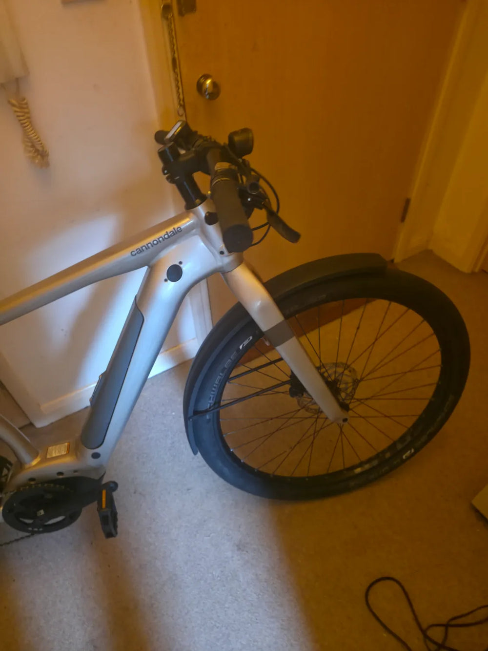 Cannondale Canvas Neo 2 2022