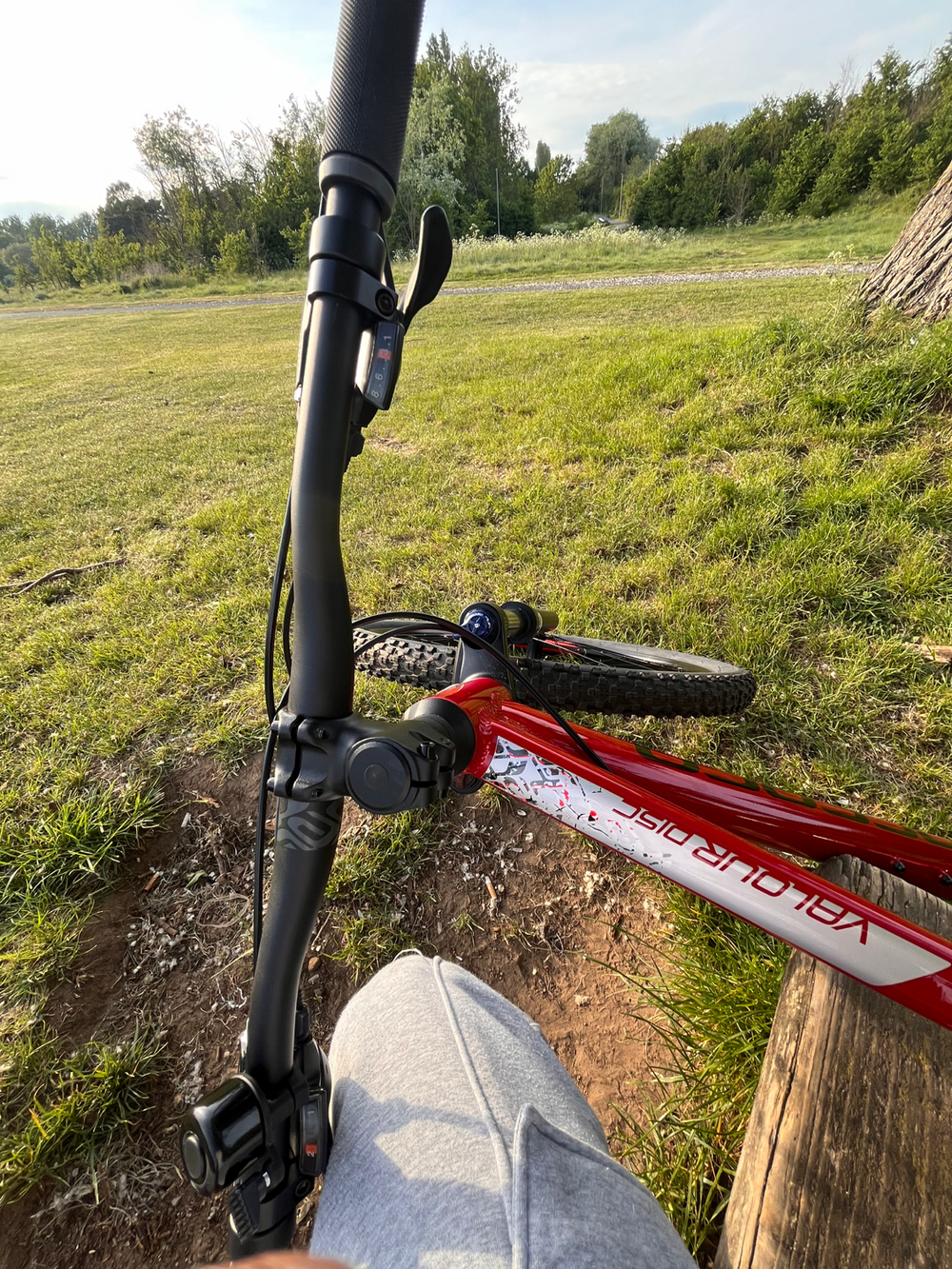 Carrera Valour Disc 2026