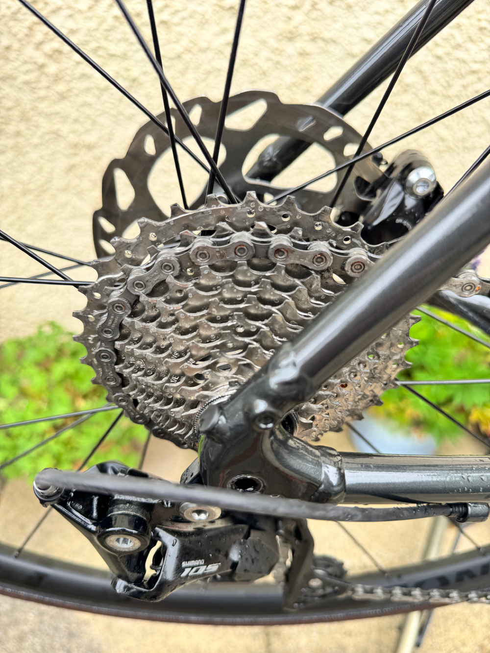 Trek Domane AL 5 Disc 2022