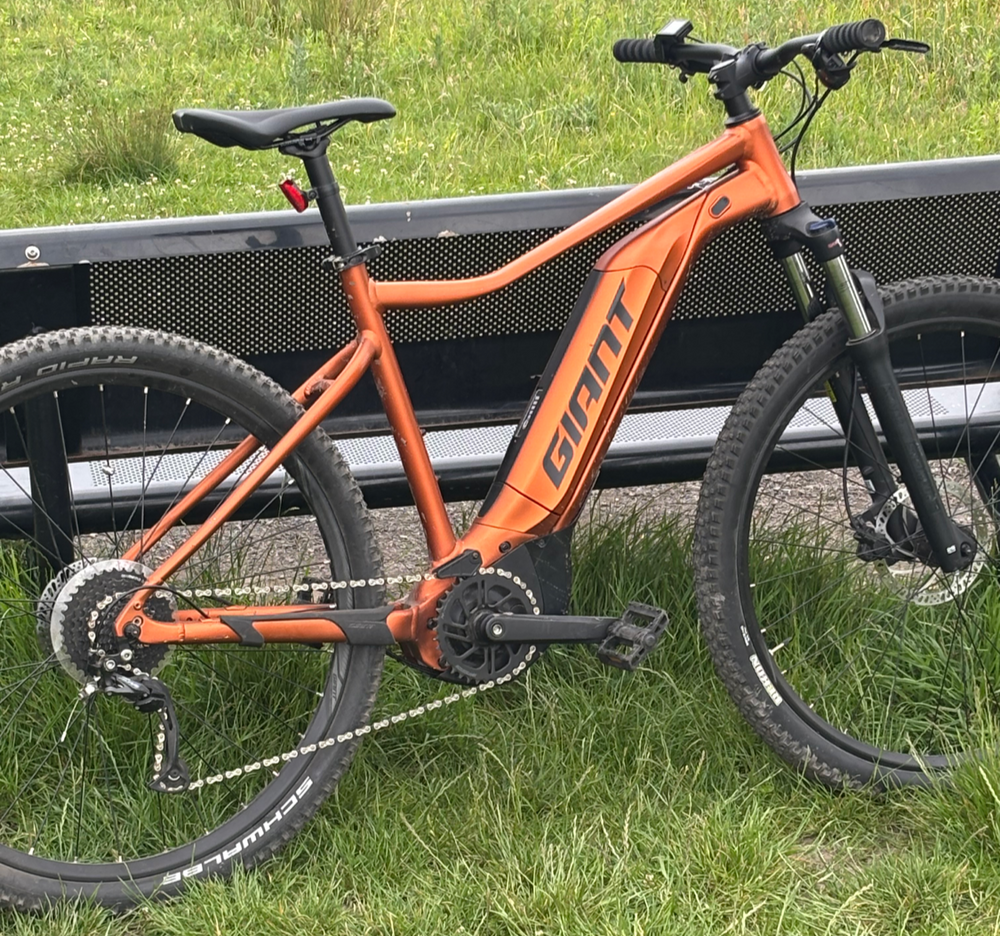 Giant 2013 Anthem X Advanced 29er 1 2012