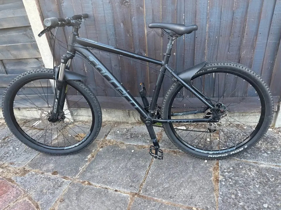 Carrera Vengeance , 2024