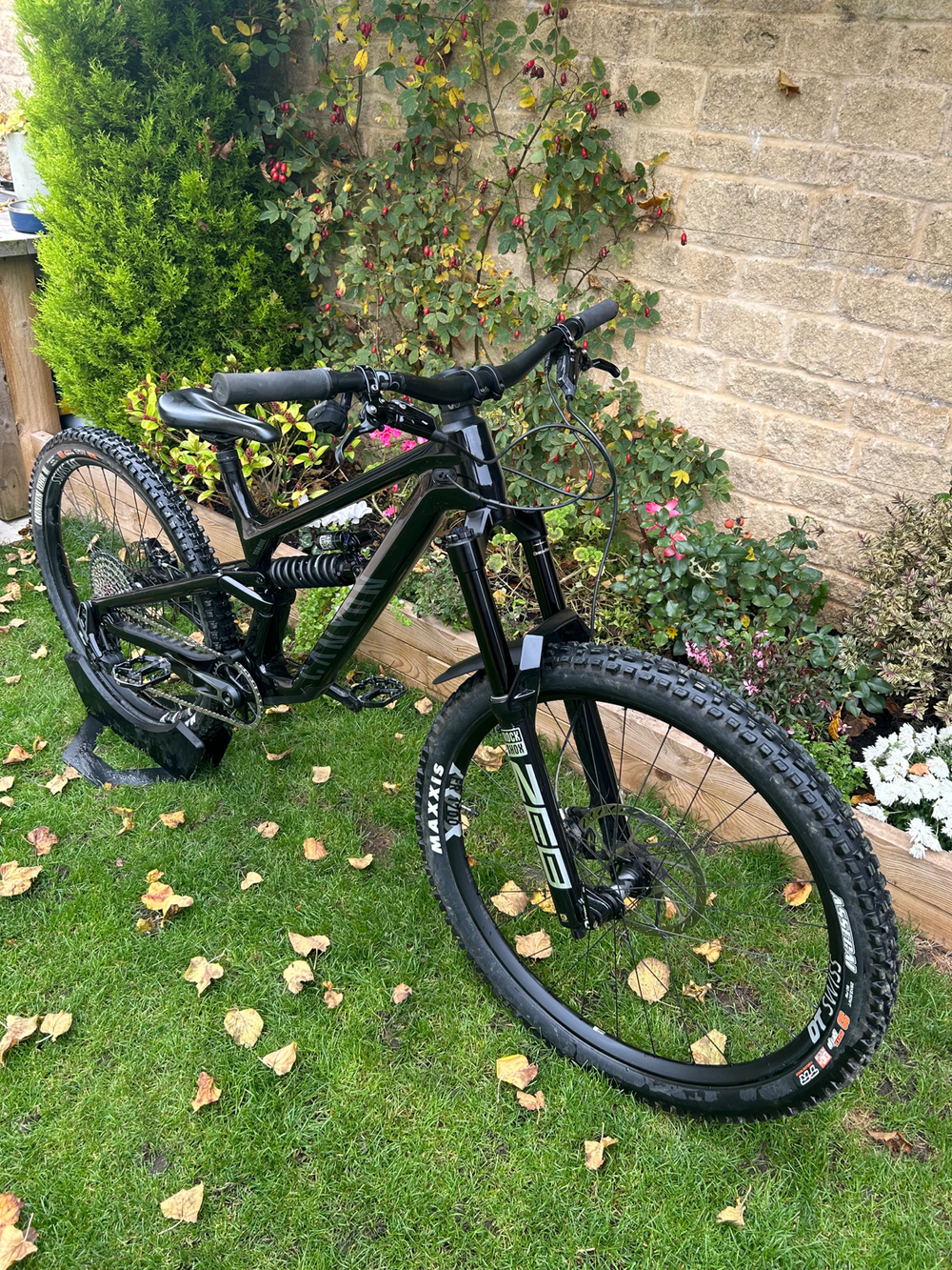 Canyon Torque Mullet CF 9 2023