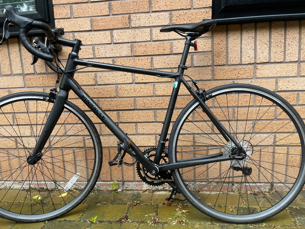 Pinnacle Dolomite SE 2020