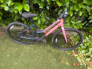 Cannondale Treadwell 2 2020