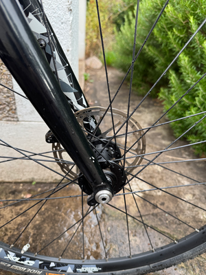 Raleigh Mustang E Comp 2019