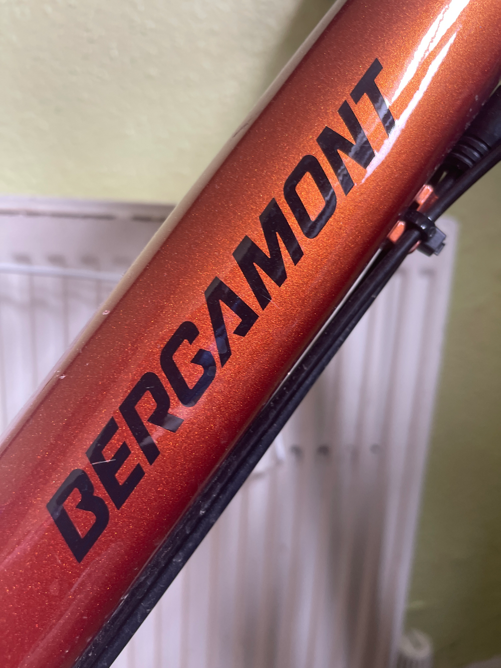 Bergamont Revox 4 2023