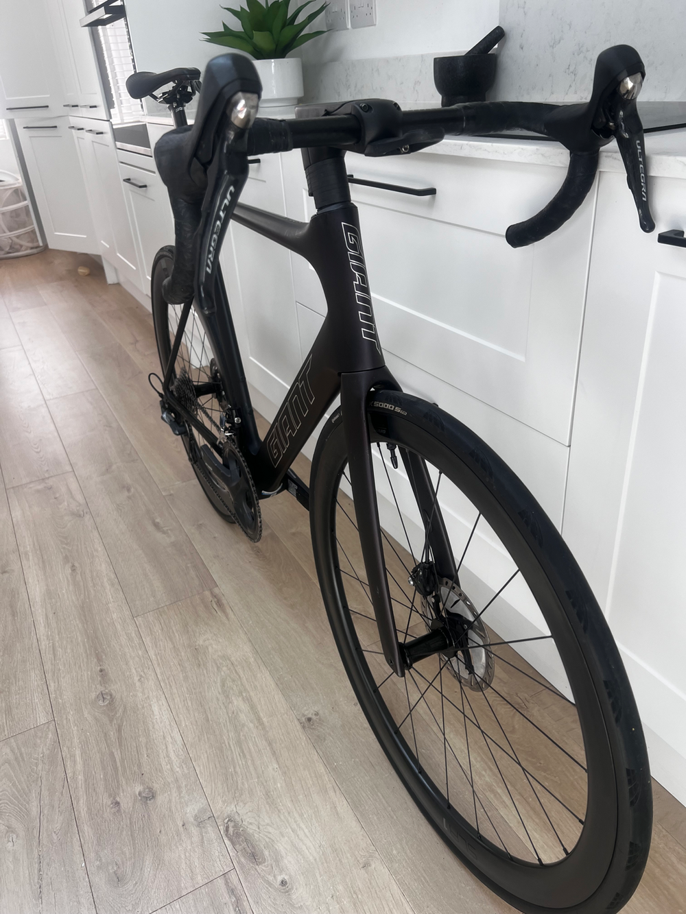 Giant Propel Advanced Pro 1 2021