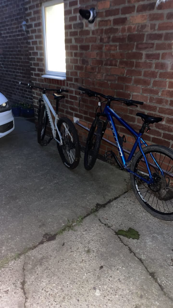 Carrera not sure  2022