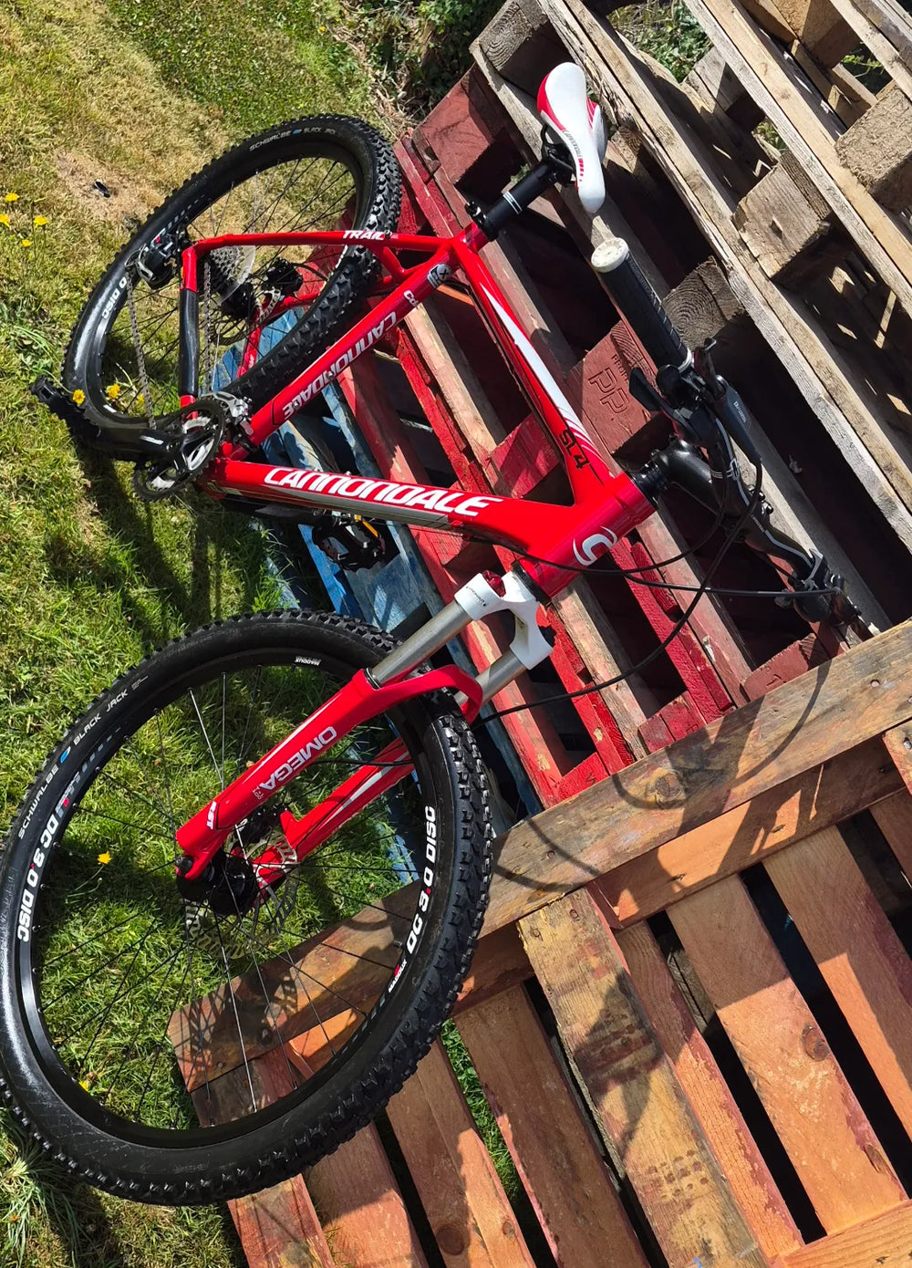 Cannondale Trail SL 4 2010
