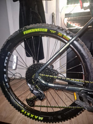 Whyte 806 Compact v4 2026