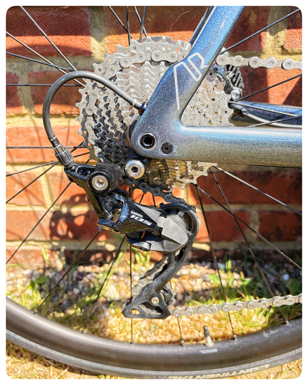 Felt AR5 Carbon 2022
