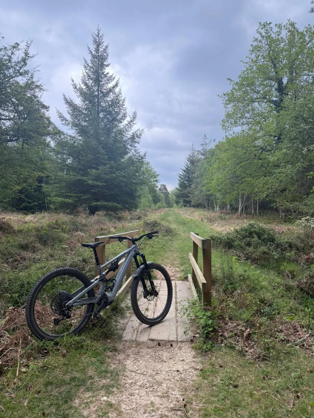 Specialized Levo SL Comp Alloy 2025