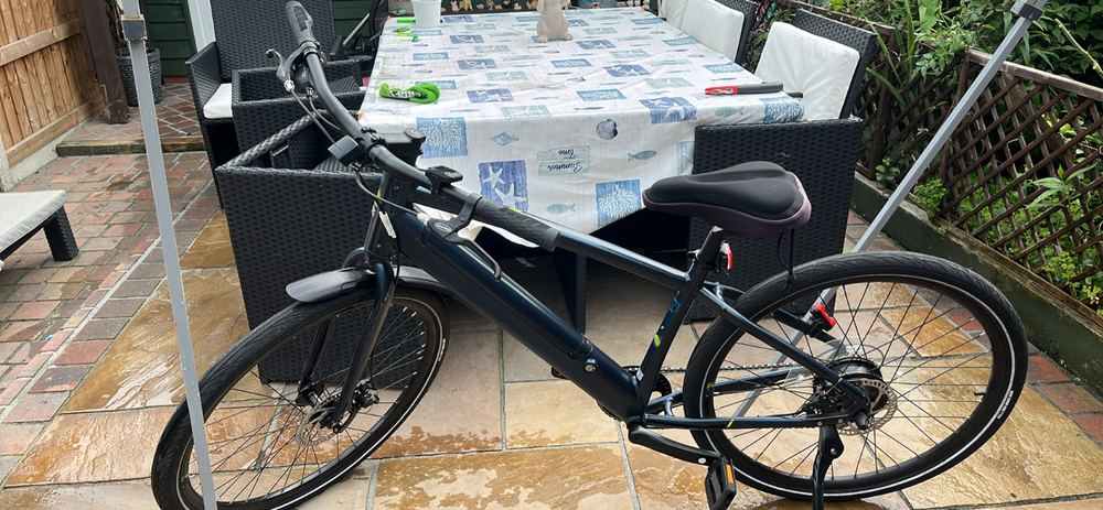 Carrera impel im 2022