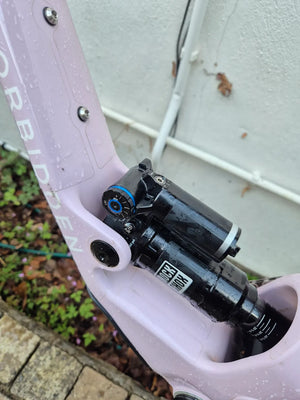Forbidden Druid 2 29er 2025