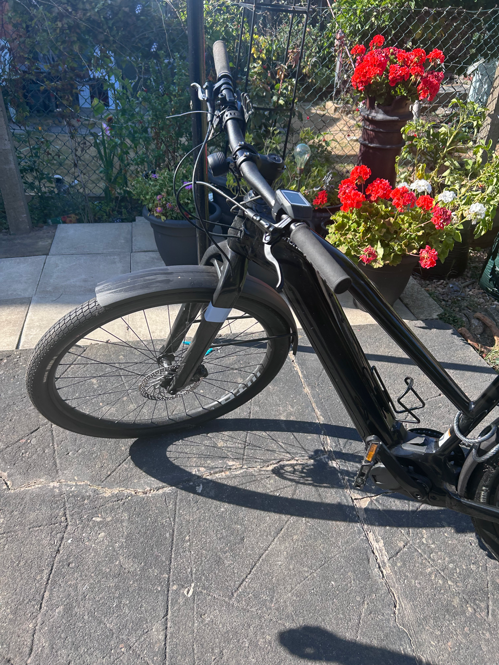 Cannondale Canvas Neo 2 2024