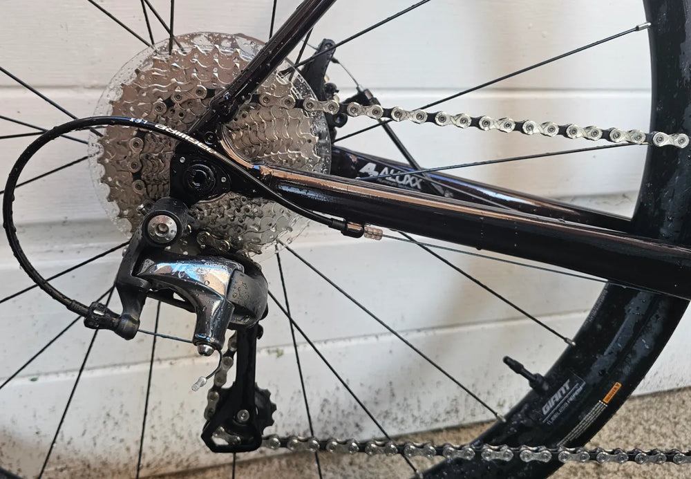 Giant Contend AR 2 2024