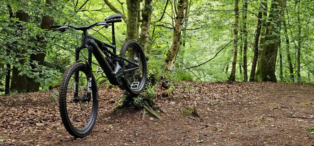 Specialized Levo Comp Alloy G3 2024
