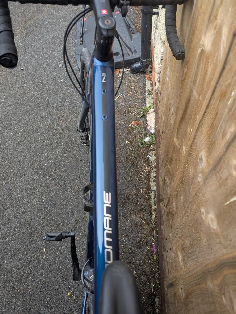 Trek Domane AL 2 Disc 2024