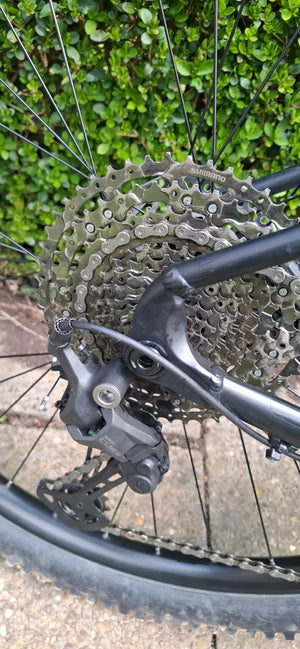 Voodoo Bizango 29 2023