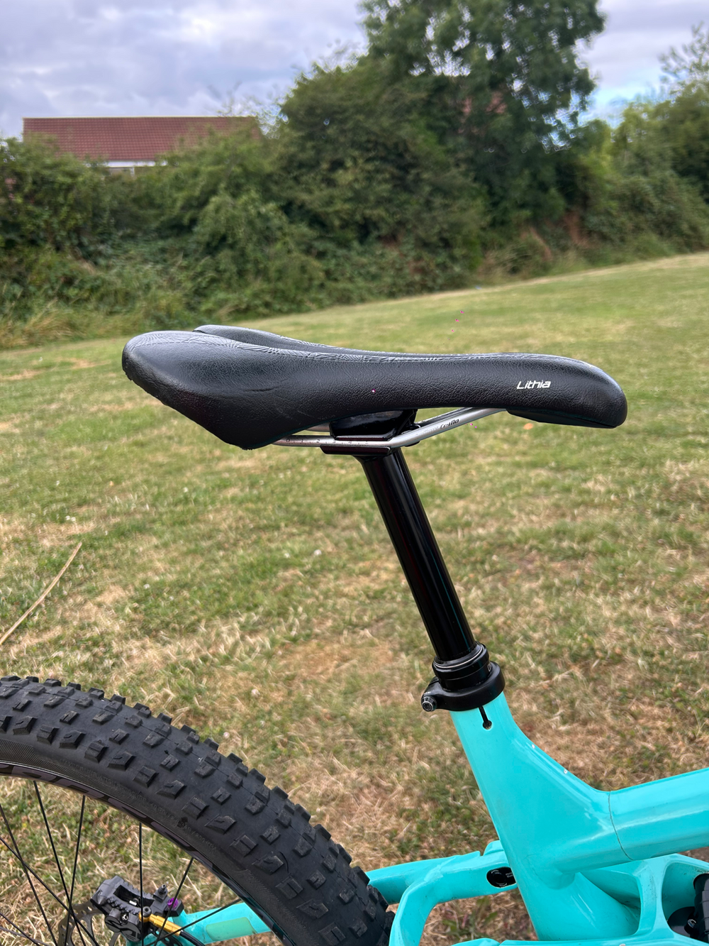 Trek Remedy 8 2020